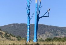 Rotary helps lift the lid on mental illness