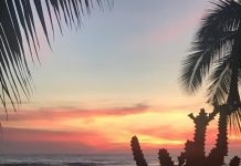 River vote’s Mex connection