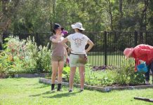 Garden shows how community can grow