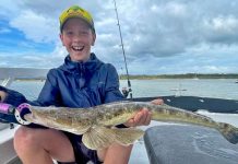 Plenty off the beach