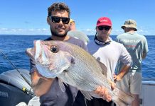 Fresh brings on the fish