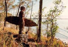 Noosa Regional Gallery announced as a finalist