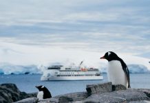 Choose your adventure in Antarctica