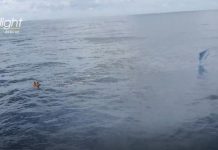 Two men happy to be alive after ocean plane crash