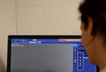 Tragic loss: Carpet python Atticus falls victim to wildlife crime