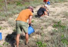 How you can plant the Seeds of Hope