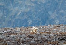 An adventurer’s dreamland