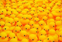 Get lucky this Black Friday at Noosa Civic