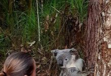 Bush dance fundraiser