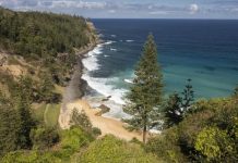 Thanksgiving on Norfolk