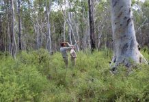 Biosphere award finalists revealed