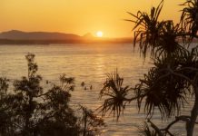 Community Surf Awards