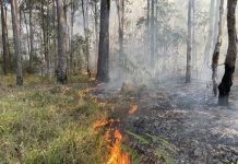 New disaster plan to boost Noosa’s resilience