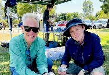 Oyster reefs glowing report
