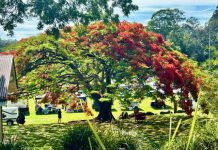 Christmas market wraps up successful year