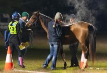 Taking it in their stride