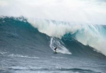 The year In surfing