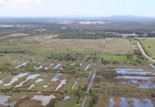 Wetlands to be restored