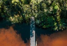 ’Where-We-Roam’ encourages mindful exploration of Noosa