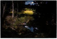 Noosa Regional Gallery welcomes major exhibition