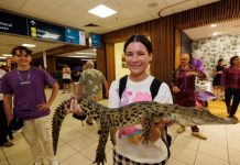 Tourism Noosa CEO welcomes visitors from Darwin