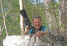 Tony’s still wild about Noosa