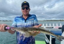 A little rough offshore after Christmas