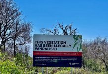 Plant poisoning sparks warning