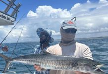 Jack are on the prowl