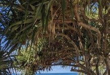 Top Ten Instagram images