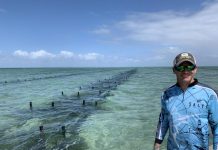 Stock thefts devastate Queensland oyster growers