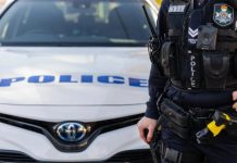 QPS launch active stolen vehicle public portal