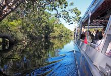 Everglades Eco Safaris deliver an unforgettable experience