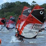 Sailing_384730_01.jpg