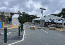 Old Phil’s 2024 almanac