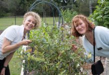 Join in community events