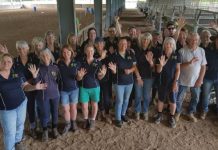 Riding for the disabled needs volunteers