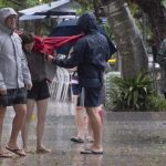 wet_381896_06.jpg