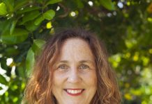 Karen Finzel, Noosa councillor candidate