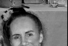 Michelle Ngatai-Stokes, Noosa councillor candidate