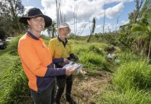 Help clean up Noosa wetlands