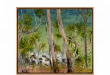 Noosa Regional Gallery Unveils a Trio of New Exhibitions Celebrating Local Talent and Environments