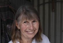 Wild about wallabies