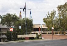 Dump takes over koala land