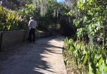 Encroachment policy lacks clout