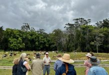 Regenerative farming link to good health