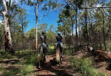Social ride to kick off Wondai horse club