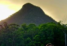 Dylan goes to Parliament