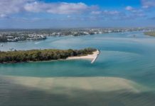 Protecting paradise: Noosa Spit Doggy Beach restoration underway