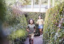 Amaze World revives famous windmill